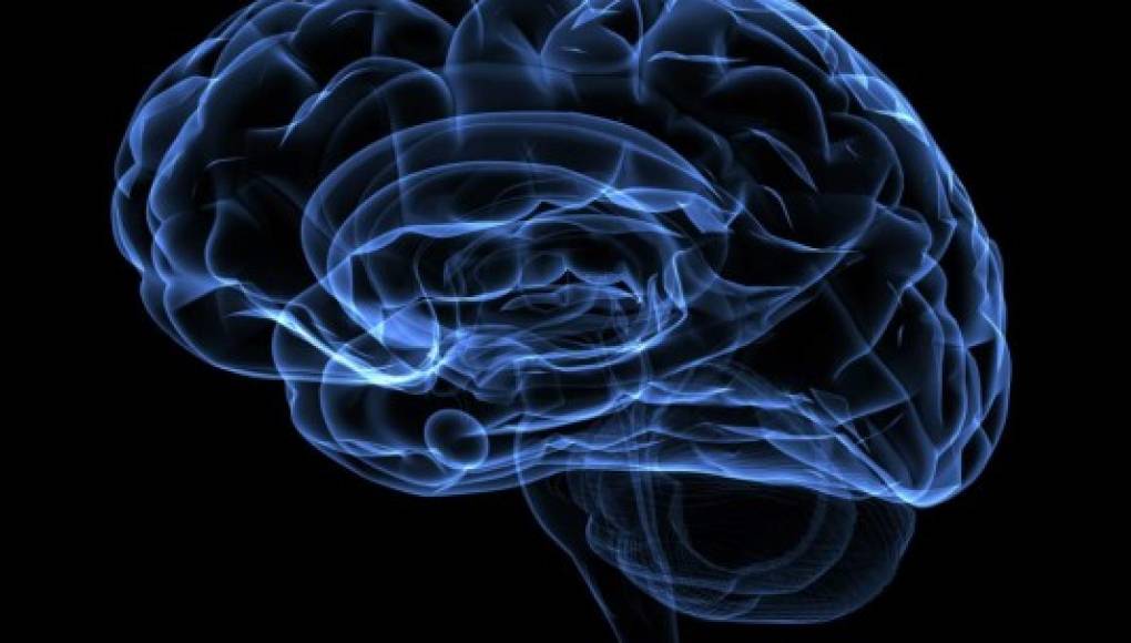 Esperan corregir patologías mentales tras 'mapear' la actividad cerebral