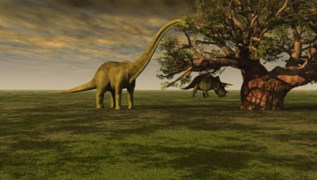 'Trueno gigante', un nuevo dinosaurio hallado en Sudáfrica