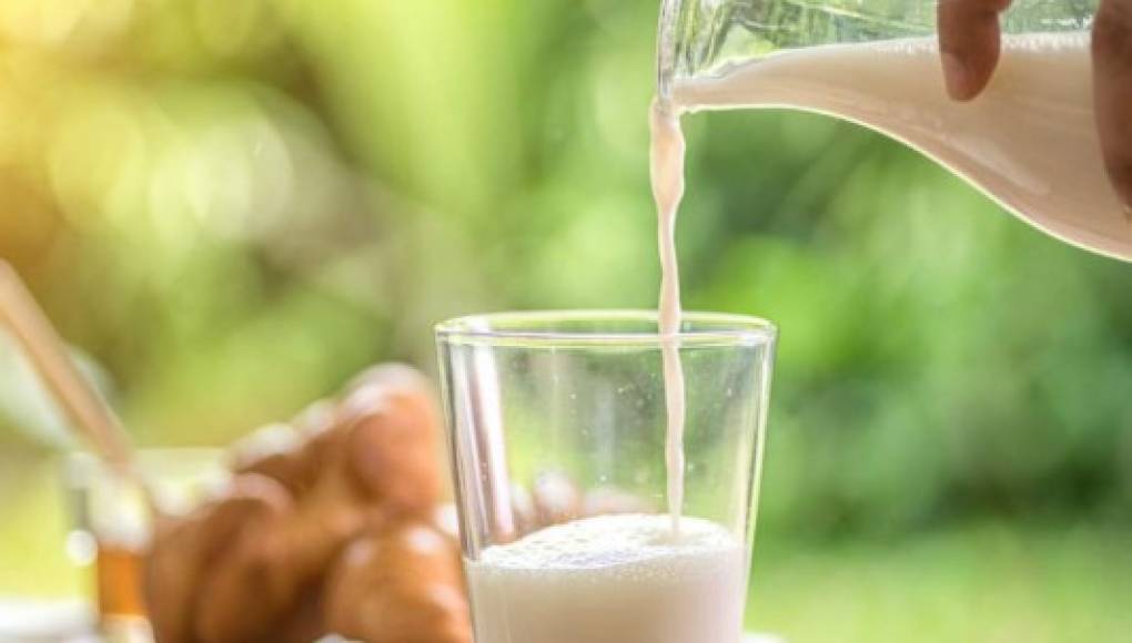 La leche cruda puede contener bacterias resistentes a los antibióticos