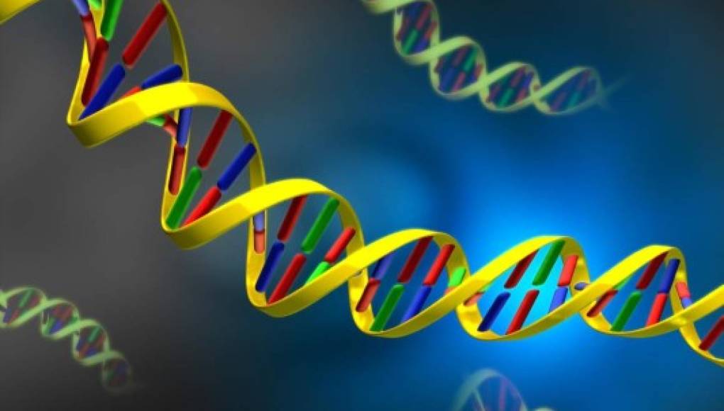 Un cambio de letra en ADN puede ser la clave para curar la anemia falciforme