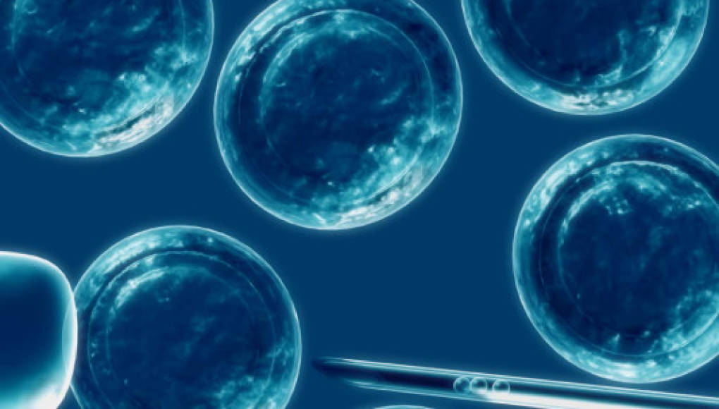 Con células madres corregirán labio