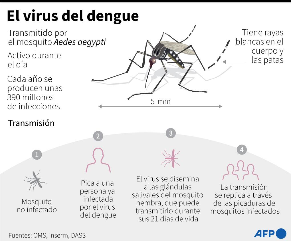 Guatemala declara alerta por dengue con más de 7,000 casos en 2024
