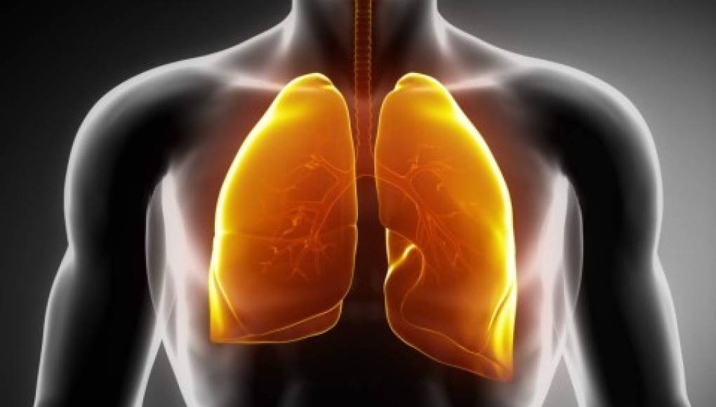 La fibra beneficia a sus pulmones