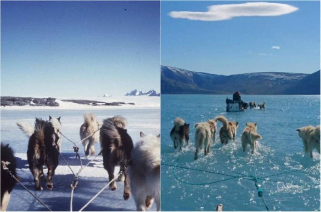La impactante imagen viral que evidencia la gravedad del deshielo en Groenlandia ha desatado la alarma entre los activistas ambientales que siguen alertando al mundo sobre las graves consecuencias del calentamiento global en el planeta Tierra.