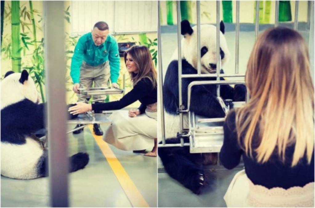 La primera dama de Estados Unidos, Melania Trump, se quedó en la capital china haciendo turismo y visitó el zoo de Pekín y la Gran Muralla tras la marcha de su esposo, el presidente estadounidense Donald Trump a Vietnam para la Cumbre de la APEC.<br/>