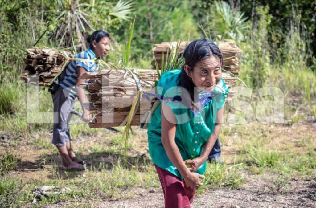 La mayor población indígena en Honduras es la lenca, con más de 450,000 personas, según el INE.<br/><br/><br/><br/>