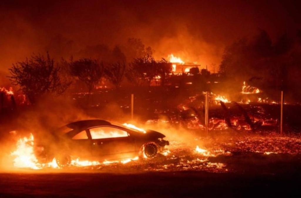Más de 80 km² fueron arrasados por las llamas y miles de personas evacuadas debido a un incendio que se propaga rápidamente desde el jueves en el norte de California, anunciaron las autoridades.