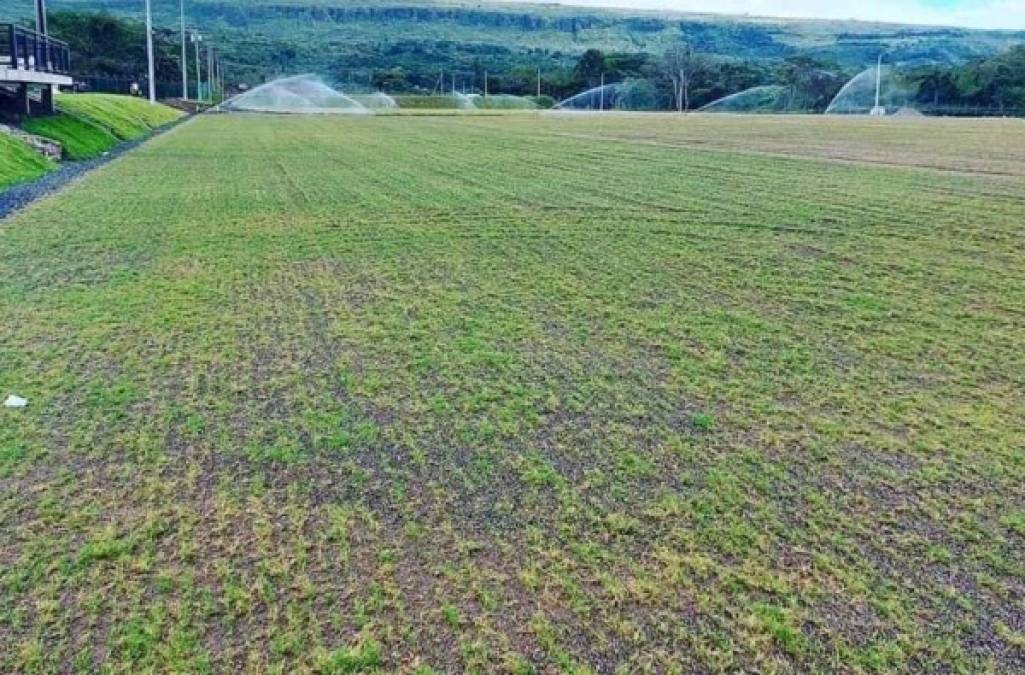 La sede del Olimpia tendrá tres canchas de fútbol, dos de grama natura y una artificial.