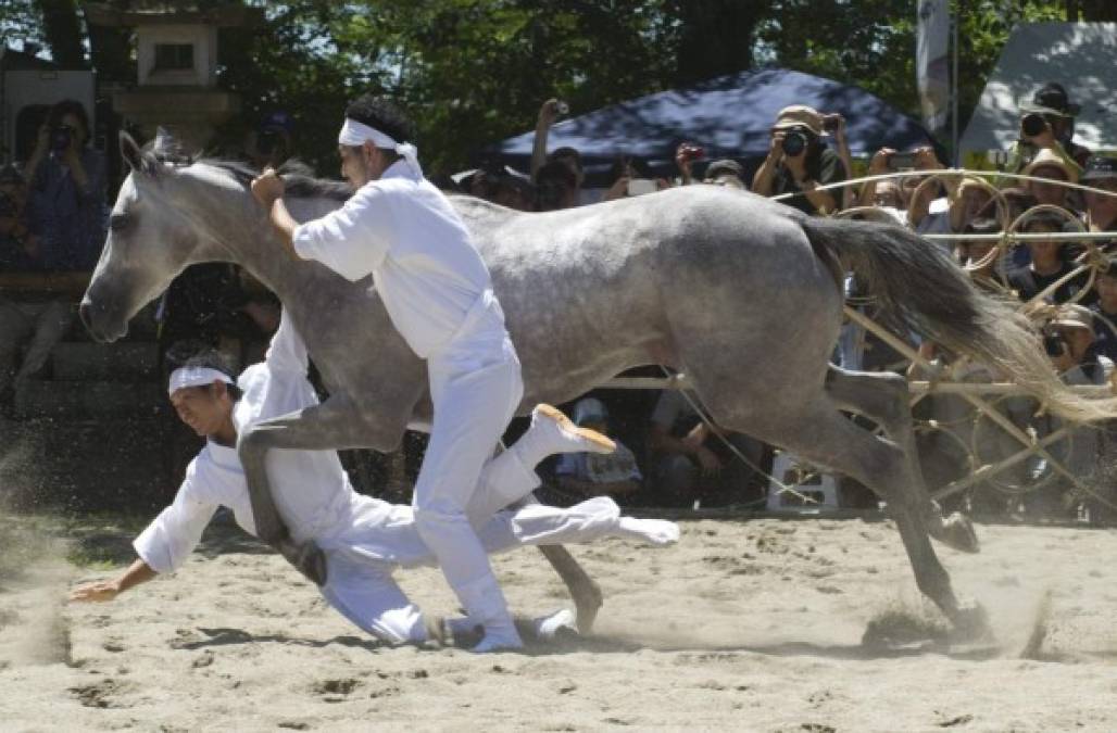 JAPÓN. Un ritual de hace 800 años. Intentan capturar un potro salvaje sagrado como ofrenda a los dioses sintoístas en el Festival Ecuestre Samurai Nomaoi.