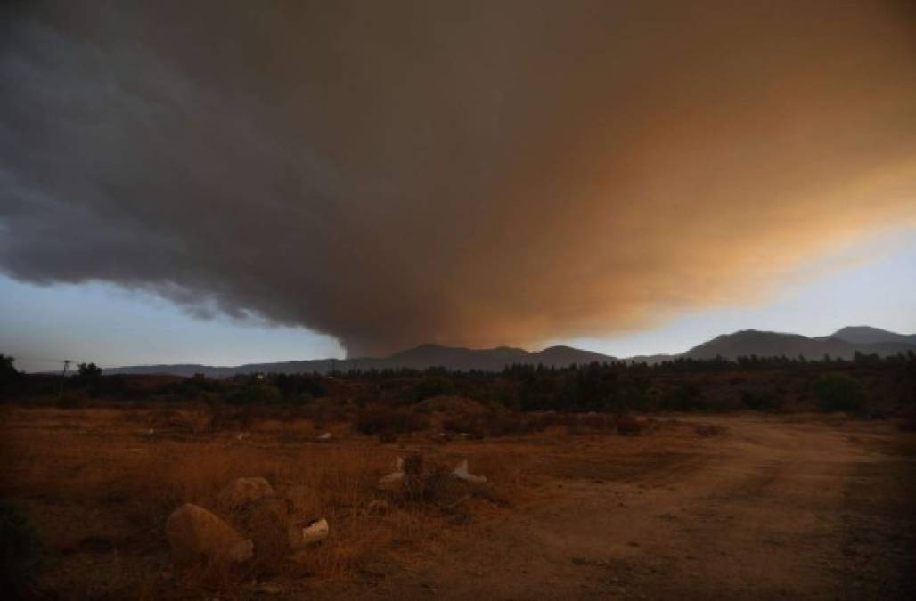 Más de 14.000 agotados bomberos, incluidos refuerzos de países como Australia y Nueva Zelanda, combaten sin parar los 17 focos de incendio registrados en una temporada que apenas comienza y ya dejó una decena de muertos.