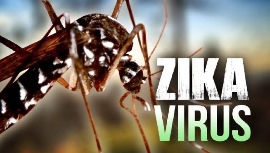 El Zika podría vincularse con un trastorno cerebral autoinmune