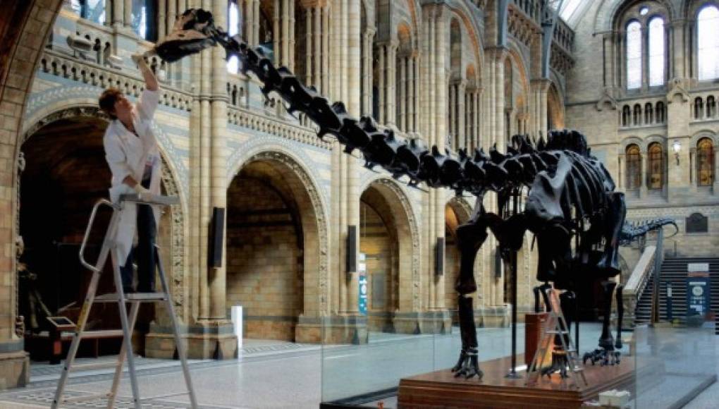 Dippy, el dinosaurio más famoso de Londres