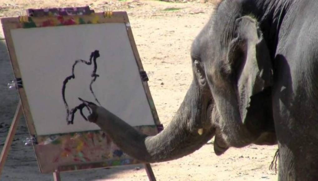 Suda, un elefante pintor