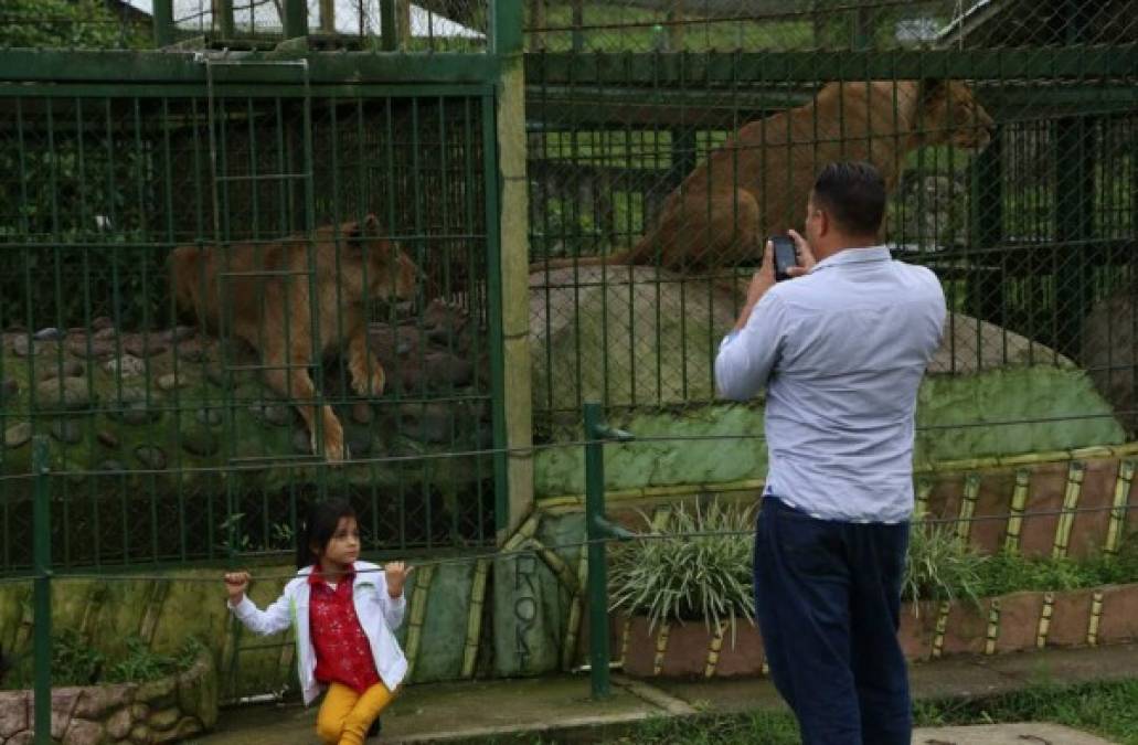 Foto: La Prensa