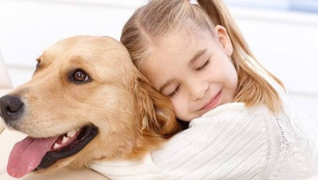 Niños confían más en las mascotas que en sus familiares