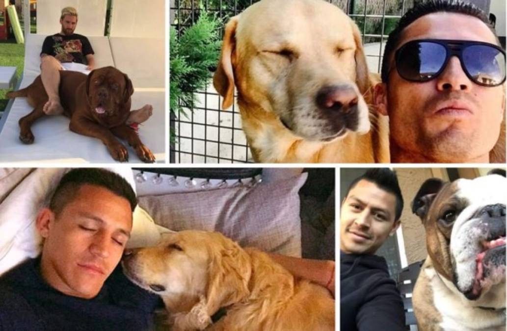 Los futbolistas, además del balón, también tienen una pasión por los perros. Te mostramos estos famosos jugadores que escogieron nombres divertidos para sus mascotas, algunos le pusieron el seudónimo de otro colega de profesión.