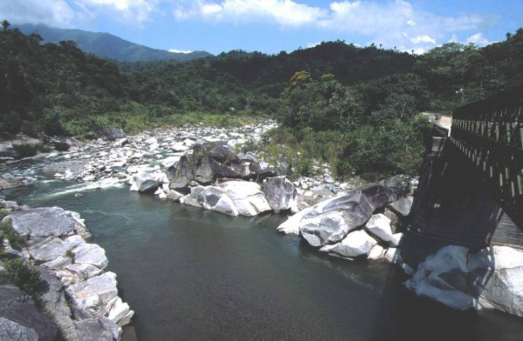 Pico Bonito es una montaña que se encuentra en el municipio de El Porvenir y cerca de la ciudad costera de La Ceiba en Honduras. Tiene una altura de 2,435 metros. Desde el 1 de enero de 1987 fue establecido como un parque natural protegido.