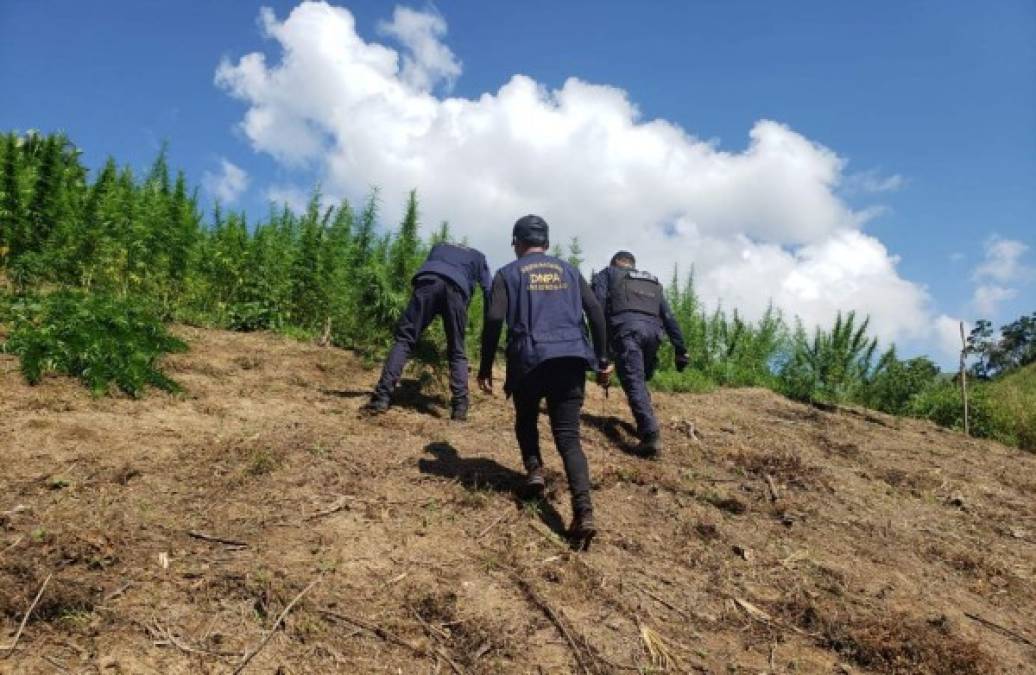 Los agentes policiales no detuvieron a ninguna persona en esta acción.