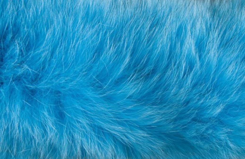 Según pobladores, se debe a que los perros vivirían cerca de una planta de una empresa química en desuso, lo que habría causado que los animales adquirieran el tono azul en el pelaje.