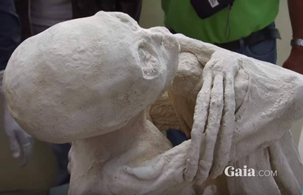 Según el portal científico Gaia, el hallazgo de un cuerpo momificado presenta 'la posibilidad de un material distinto a cualquier otro encontrado hasta ahora en un fósil'. <br/>