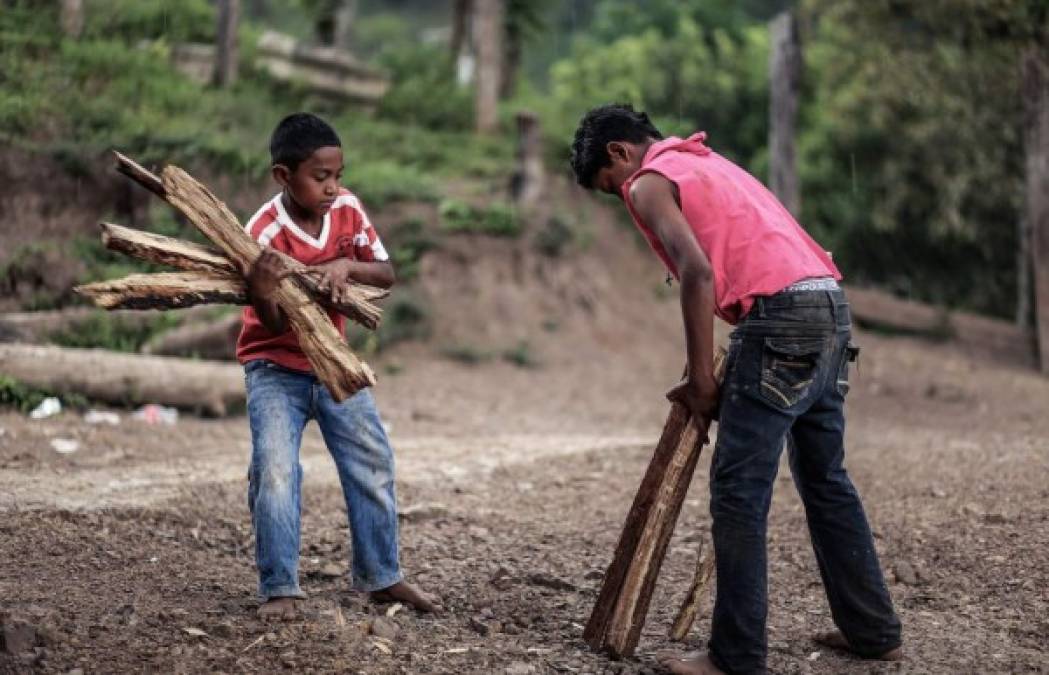 Desde pequeños les enseñan a trabajar, a ganarse el pan de cada día para sus familia. No hay edad, todos son conscientes de que deben aportar para poder sobrevivir en estas tierras.