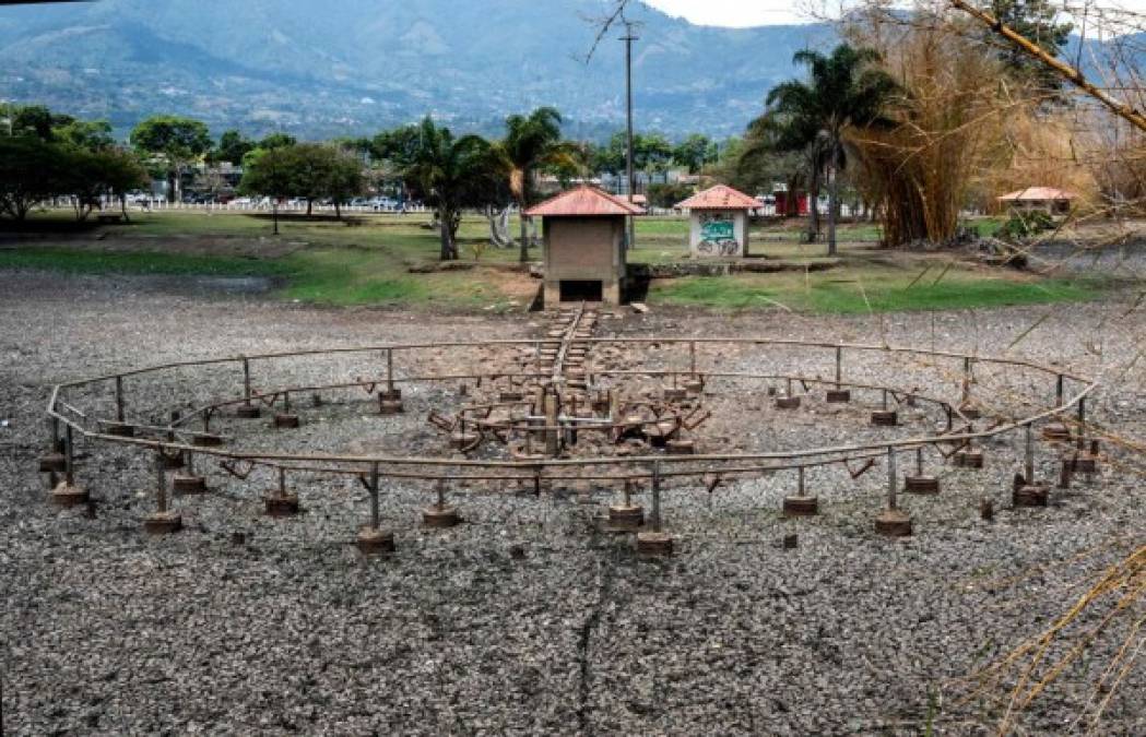 'Lo que estamos viendo en el parque La Sabana y el parque La Paz es el reflejo de la realidad que enfrentamos como país. No podemos ocultar que ahora tenemos otras condiciones a las que existían hace muchos años cuando se diseñaron estos lagos y nos hablaban que el agua era un recurso inagotable', comentó el ministro Deportes, Hernán Solano, a cargo del Icoder.