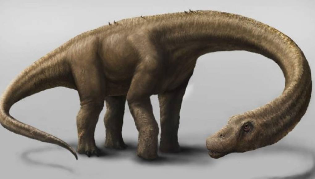 Hallan restos de dinosaurio gigante