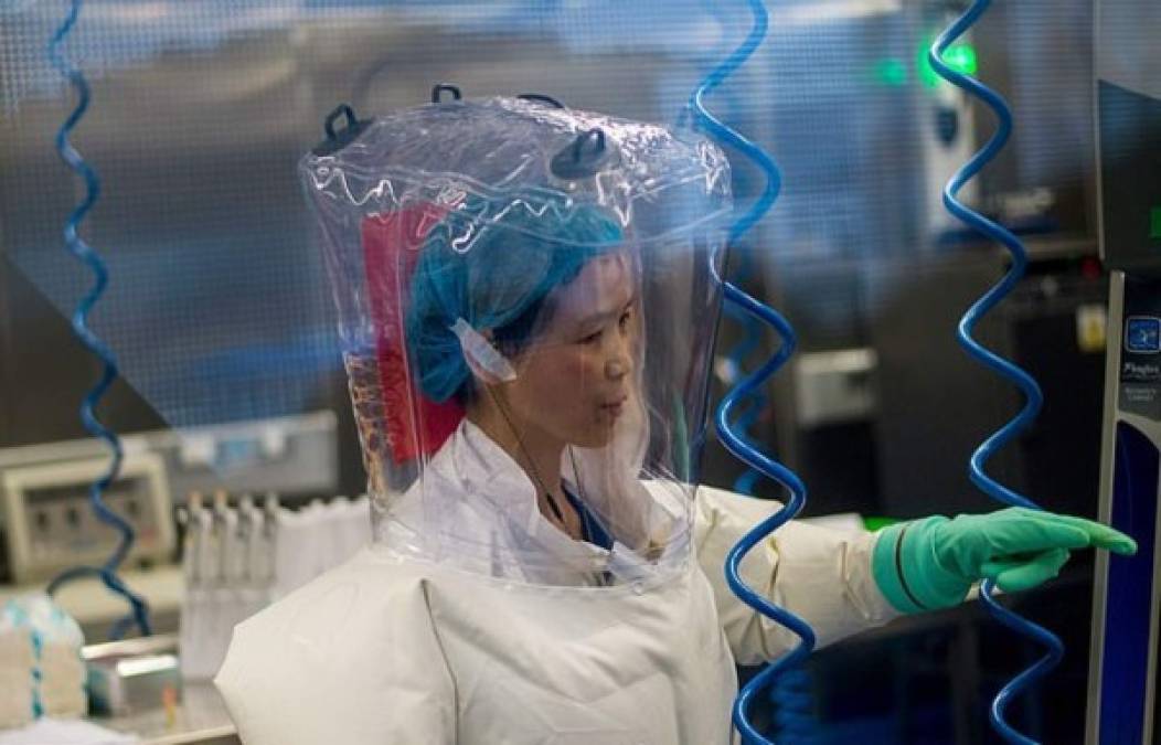 Medios británicos revelaron este domingo que el Instituto de Virología de Wuhan, ubicado a 20 kilómetros del mercado de animales de esa ciudad, epicentro de la pandemia, realizó experimentos de coronavirus en murciélagos capturados en cuevas.