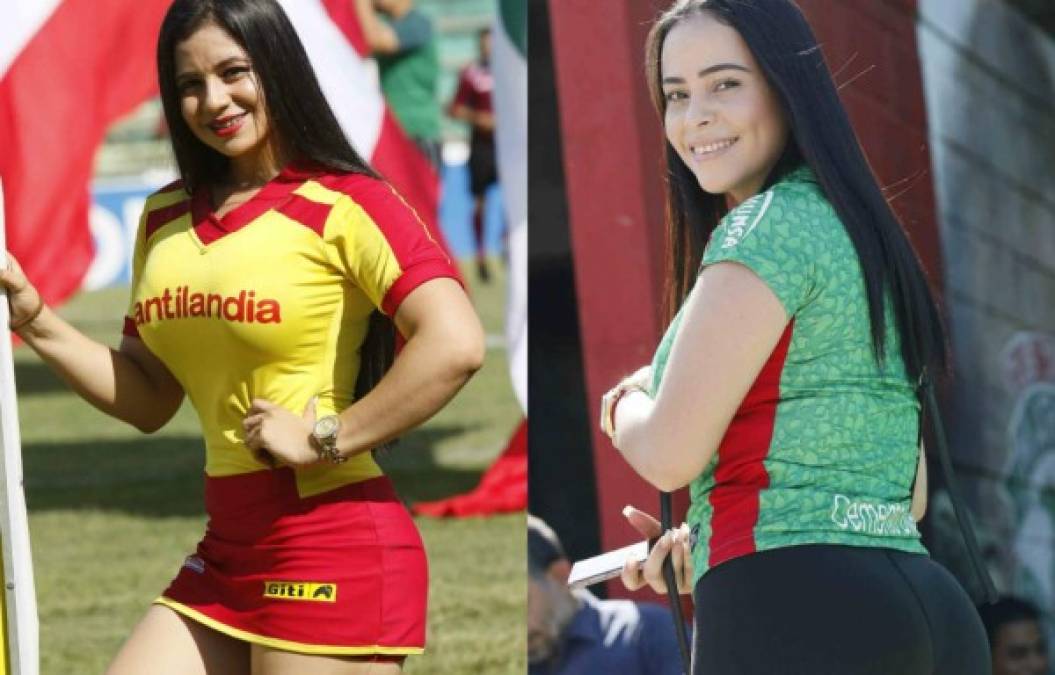 Mira las bellas chicas que robaron suspiros en el duelo entre Marathón vs Motagua que finalizó empatado 1-1 en el estadio Yankel Rosenthal. Una mujer mexicana se hizo presente.