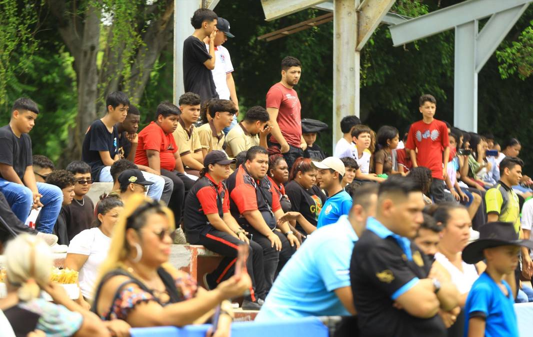 Los premios individuales en premier los ganaron:Mejor Dirigente: Inst. Froylan Turcios Mejor cuadro de redoblantes: ASBMejor cuadro de liras: Indep. Tecno Sampedrano Mejor cuadro de Bombos: Inst. Oficial Patria Mejor cuadro de cueros: Inst. Oficial Patria Mejor cuadro de Tarolas: Indep. Tecno Sampedrano Mejor cuadro de guiros: Indep. Tecno Sampedrano Mejor cuadro de platillos: Inst. Oficial Patria 