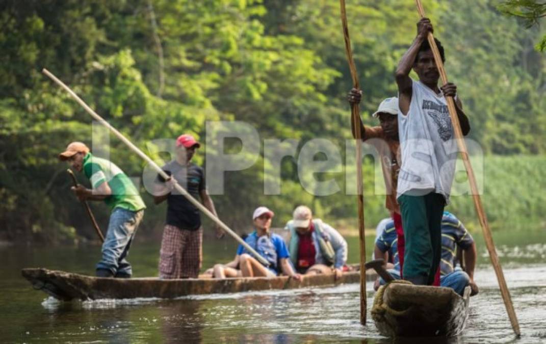 Existe un convenio de 1997 donde el Gobierno se comprometió a rescatar 14,700 hectáreas de tierra del pueblo maya-chortí, que están entre Copán y Ocotepeque, que son dónde están nuestros habitantes. De lo acordado, solo se ha recuperado 4,700 hectáreas. O sea, que más de 20 años después del convenio, aún faltan 10,000 hectáreas por recuperar, aseguran representantes de los indígenas.<br/>