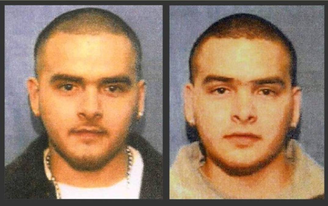 Los gemelos Pedro y Margarito Flores, que traficaron millones de dólares en cocaína en Chicago, traicionaron al Chapo Guzmán tras entregarse a las autoridades estadounidenses. Los hermanos fueron enviados a México a grabar en secreto al narcotraficante a cambio de recibir una reducción de pena. En 2015 fueron sentenciados a catorce años en prisión.