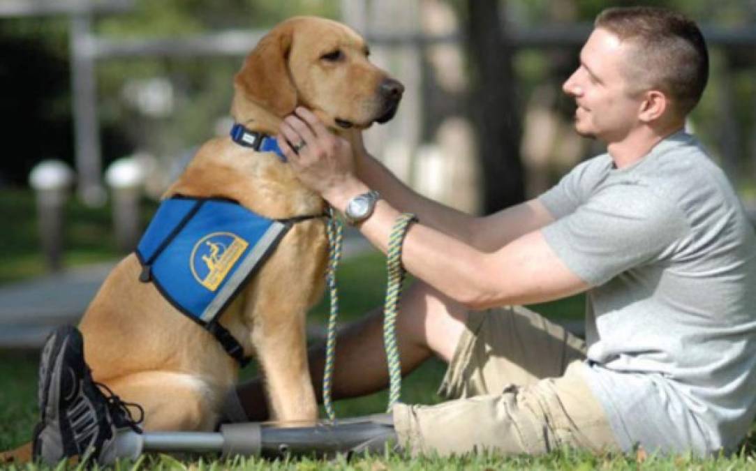 Comunicación con los animales: Según Nostradamus las personas podrán hablar con los animales, afirma que serán más cercanos y leales a los humanos.