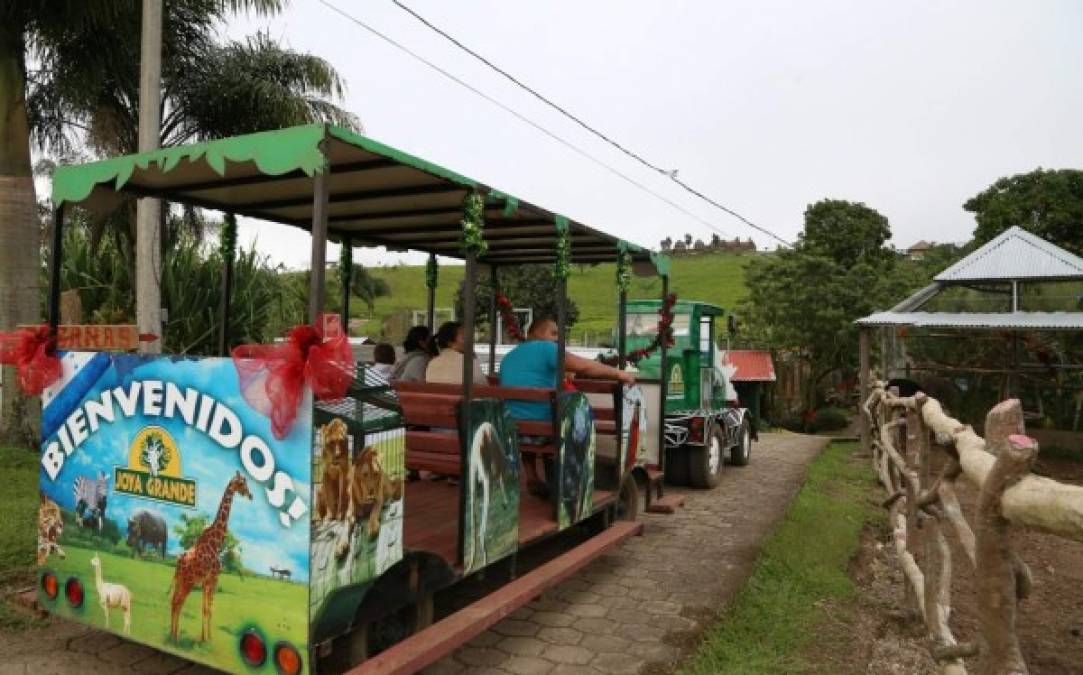 Trencito, piscinas y otro tipo de diversión hay en el zoológico ubicado en Santa Cruz de Yojoa.
