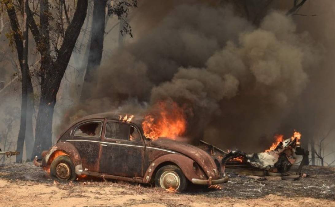 Hasta la fecha, 10 personas han muerto en el país a causa de los incendios.