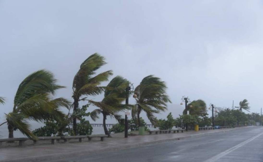 Lee se transformó hoy en el centro del Atlántico en un huracán de categoría 1, mientras que María bajó a categoría 2 y avanza hacia el norte y en los próximos dos días se situará cerca de la costa del sureste de Estados Unidos. El Centro Nacional de Huracanes informó hoy en su boletín de las 5.00 horas locales (9.00 GMT) de estos dos ciclones, que no constituyen actualmente amenaza para tierras pobladas.