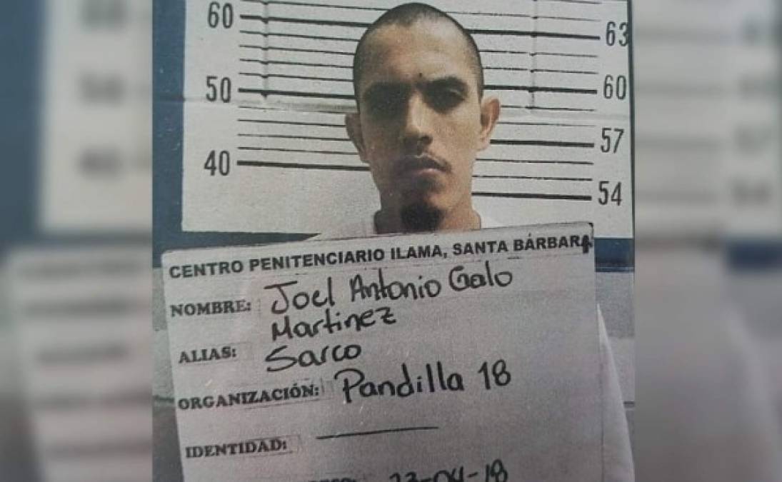 5 de noviembre de 2019. Joel Antonio Galo Martínez fue encontrado estrangulado en la cárcel de máxima seguridad El Pozo, en Ilama, Santa Bárbara. Estaba preso por asociación ilícita y posesión de armas de fuego.