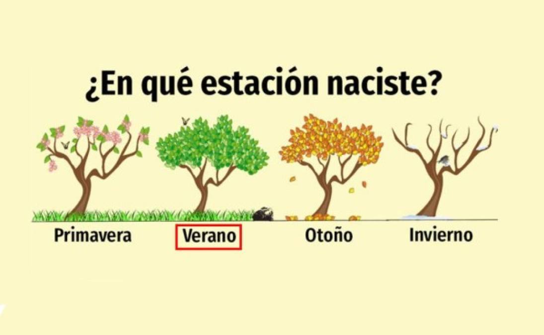 Verano:<br/><br/>Estas personas son altamente receptivas a los cambios, no se niegan a enfrentarlos, aceptarlos y adaptarse a ellos. Sin embargo, pueden cambiar rápido de carácter, son personas ansiosas pero independientes.