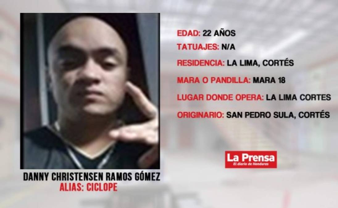 Esta persona se encarga de distribuir la droga, las armas en los sectores de la pandilla, además se le asocia con el cobro de extorsión en los diferentes negocios de la zona norte.