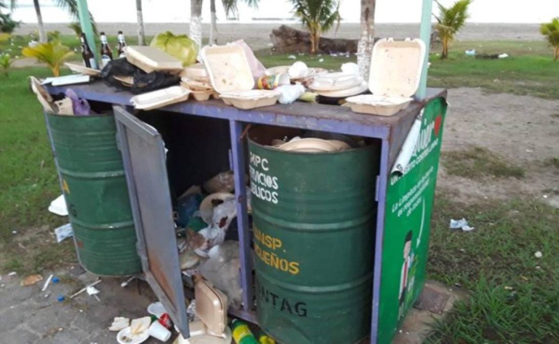 Los porteños también coincidieron que es un gran golpe al medio ambiente.