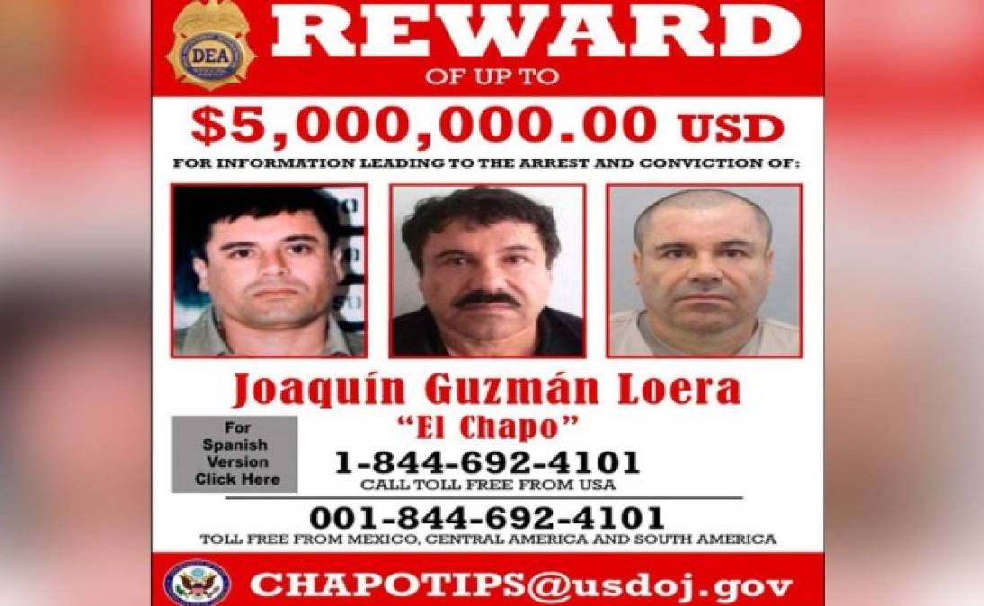 La DEA ofrece 5 millones de dólares por información sobre el Chapo y asegura que el capo puede estar en Sinaloa, México, porque allí tiene a su familia y sus contactos.