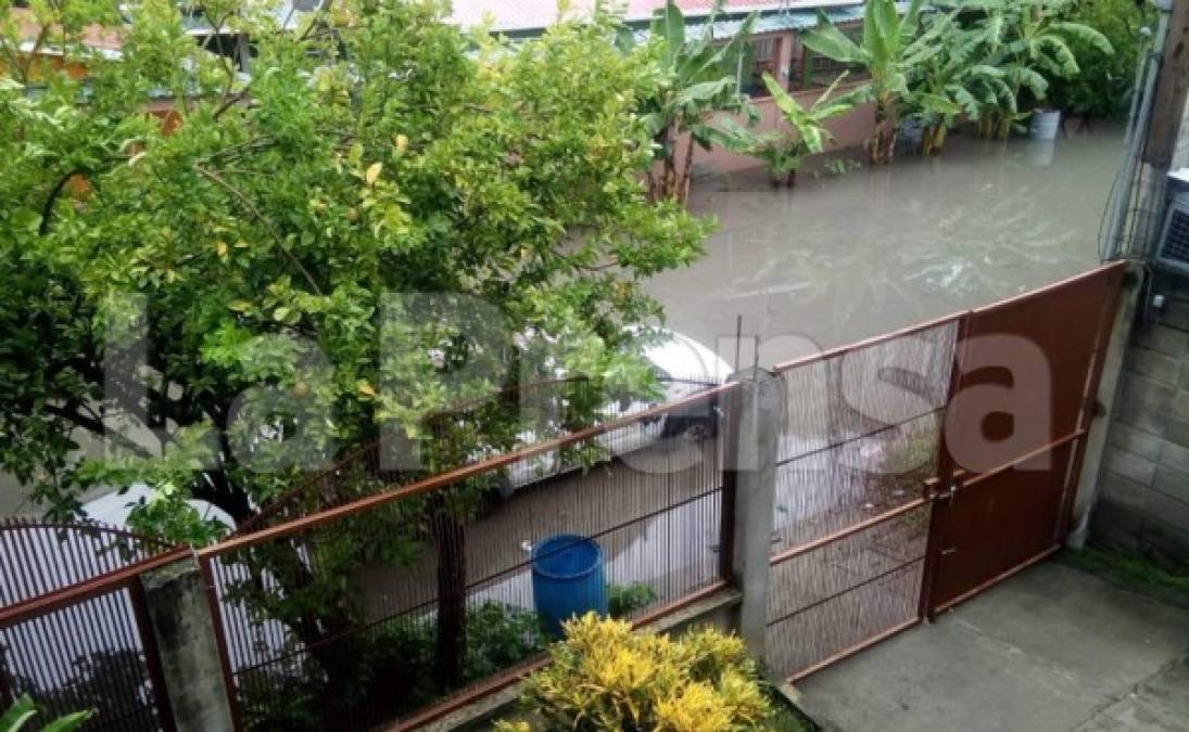 Los niños también se han visto afectados al no asistir a clases por no poder salir de sus casas.