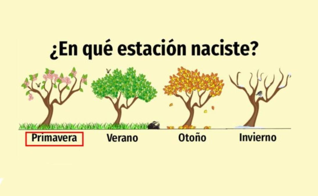 Primavera:<br/><br/>Eres un verdadero optimista frente a la vida. No te dejas aterrar por nada; si no consigues vencer una batalla, no te rindes.