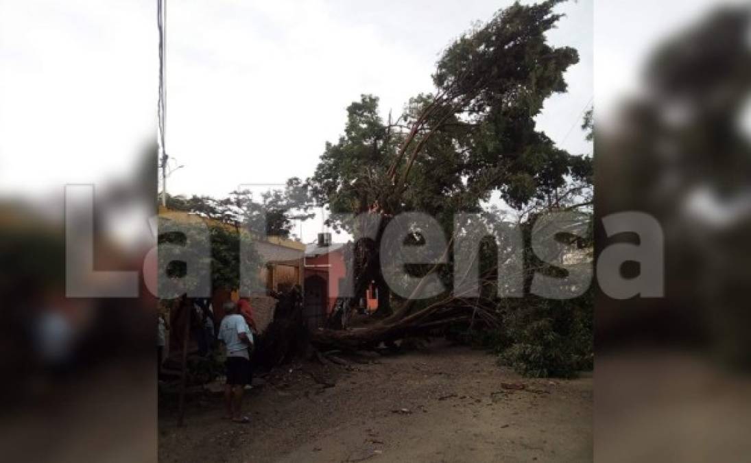 Así amaneció una calle de la colonia San Cristóbal, entre la 15 y 16 calle, 6 ave. de SPS.