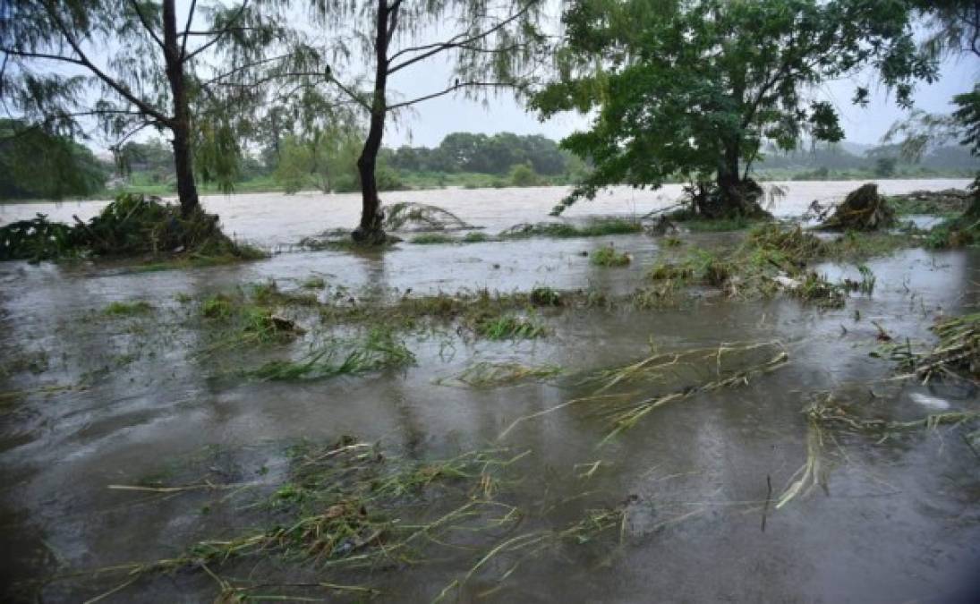 Dos familias fueron evacuadas por los bomberos en La Ceiba.