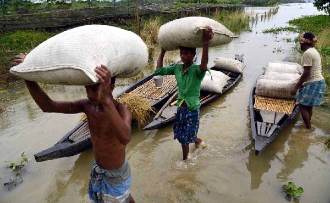 INDIA. Damnificados por el agua. Más de medio millón de residentes de los 15 distritos de la región de Assam afectados por inundaciones. Fotos: EFE