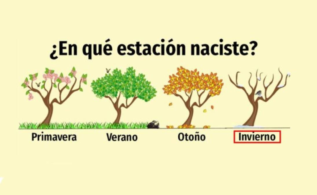 Invierno:<br/><br/>Las personas nacidas en la temporada más fría del año tienen un carácter auténtico, se entregan por completo a sus metas y a las personas que aman. Son anfitriones excelentes al igual que amigos increíbles.