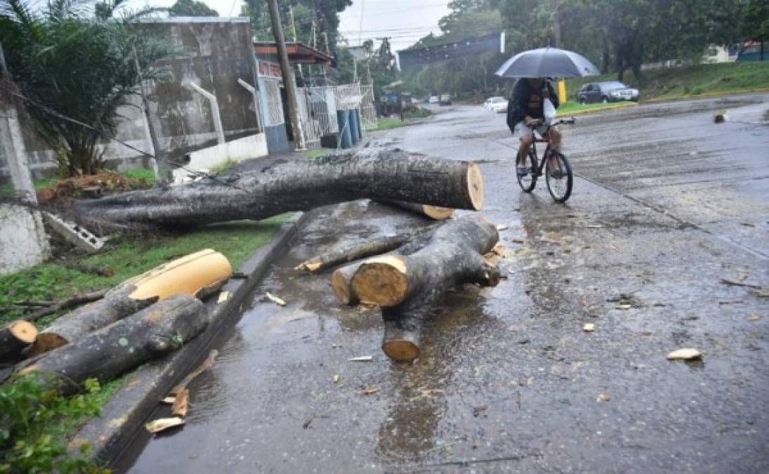 Se informó también que quedan suspendidas las operaciones en el aeropuerto internacional Golosón de La Ceiba, Atlántida, debido a las condiciones climatológicas que imperan en el litoral atlántico.