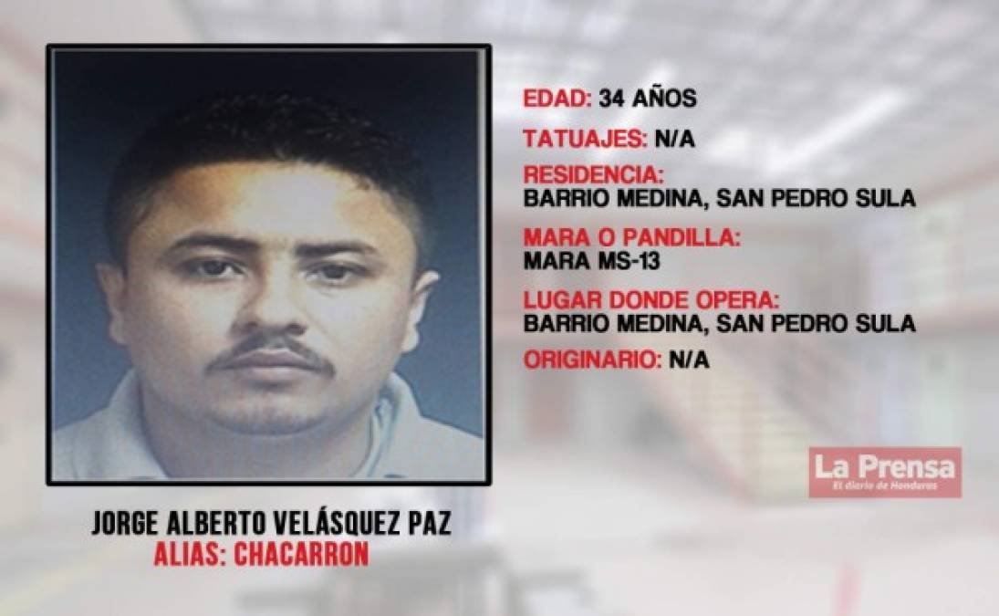 Encargado de cobrar la extorsión en los mercados de San Pedro Sula, sicariato, además es uno de los que integra la guarda de seguridad de Alexander Mendoza, alias Porki.