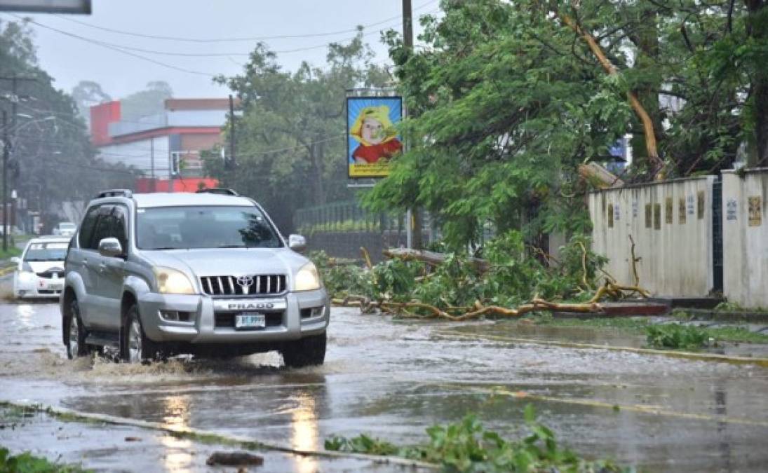 El centro de la ciudad de La Ceiba, así como en los barrios Solares Nuevos, Mejía, El Naranjal, entre otros, sus calles han sido intransitables por las precipitaciones.